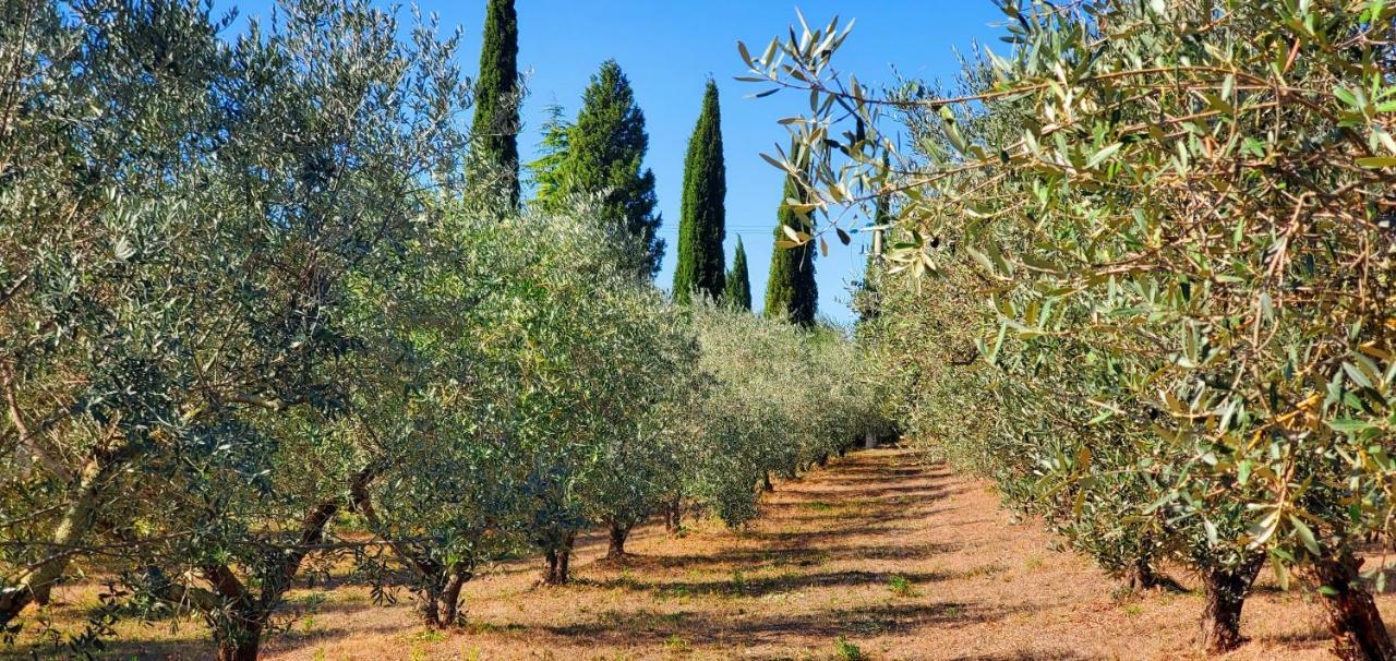 הוילה בארברינו די ואל ד'אלסה La Volpaia 1521 מראה חיצוני תמונה